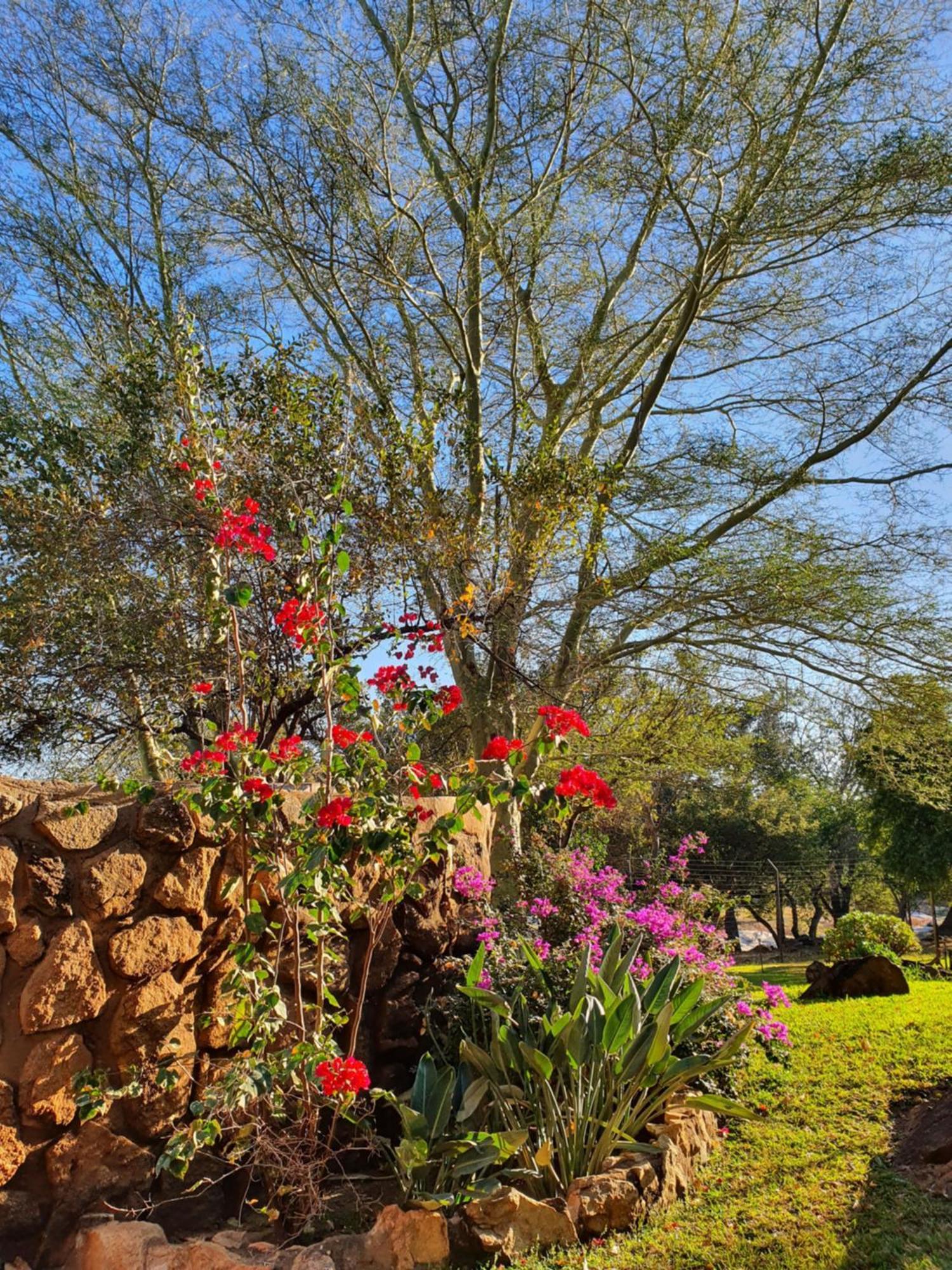 הודספרויט Hasekamp Family Bush Lodge מראה חיצוני תמונה