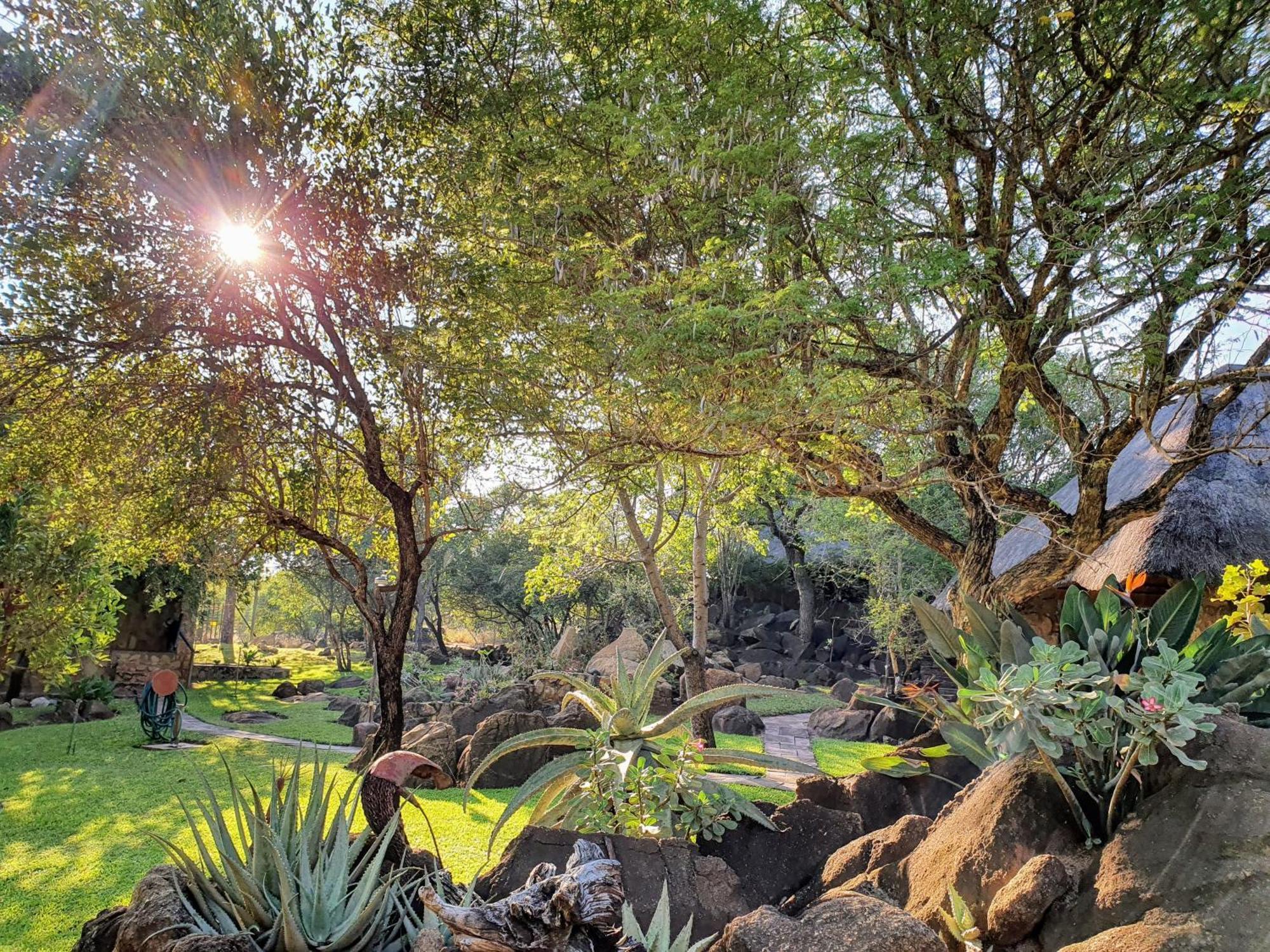 הודספרויט Hasekamp Family Bush Lodge מראה חיצוני תמונה